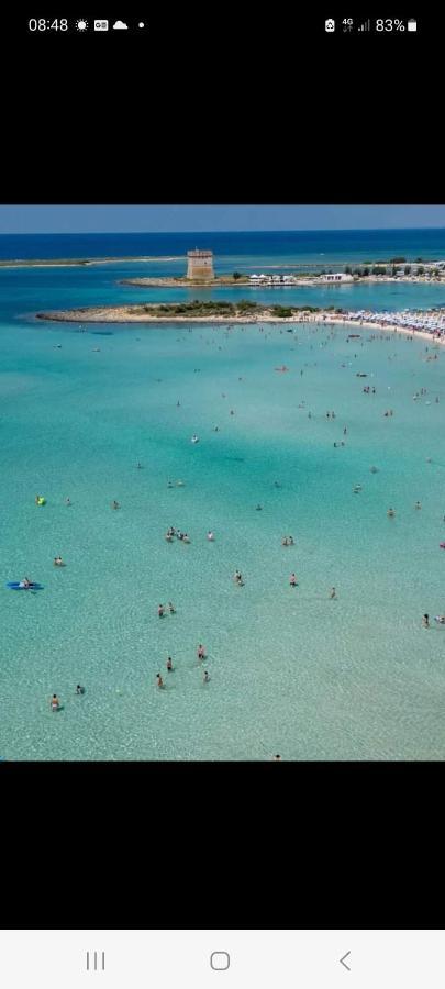 Mon Amour Daire Porto Cesareo Dış mekan fotoğraf